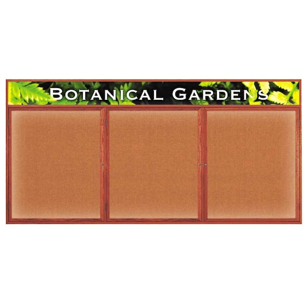 Open Faced Traditional Corkboard, 48x36"